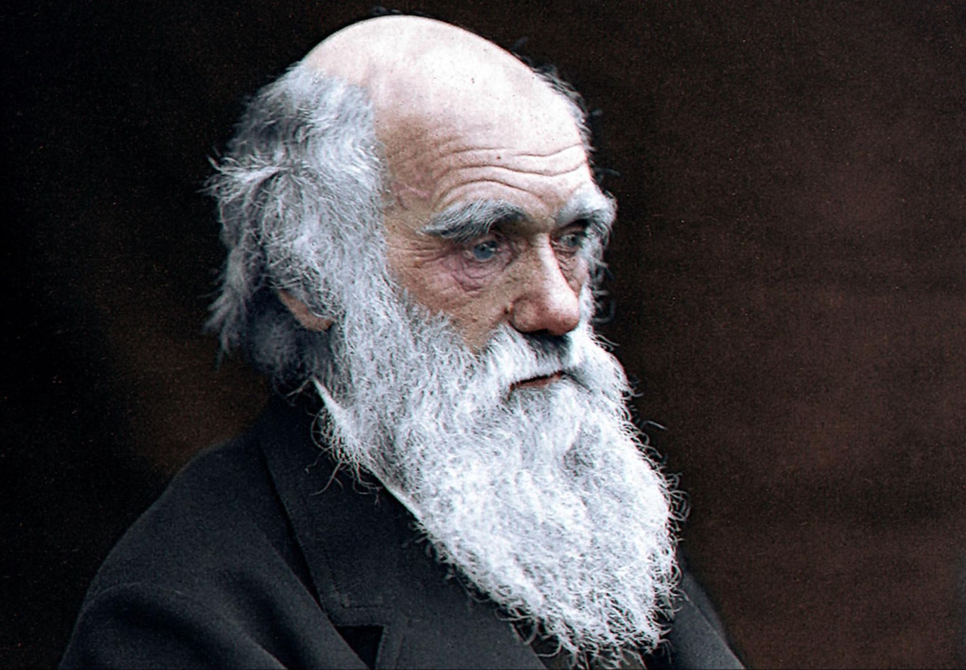 Charles Darwin Beard